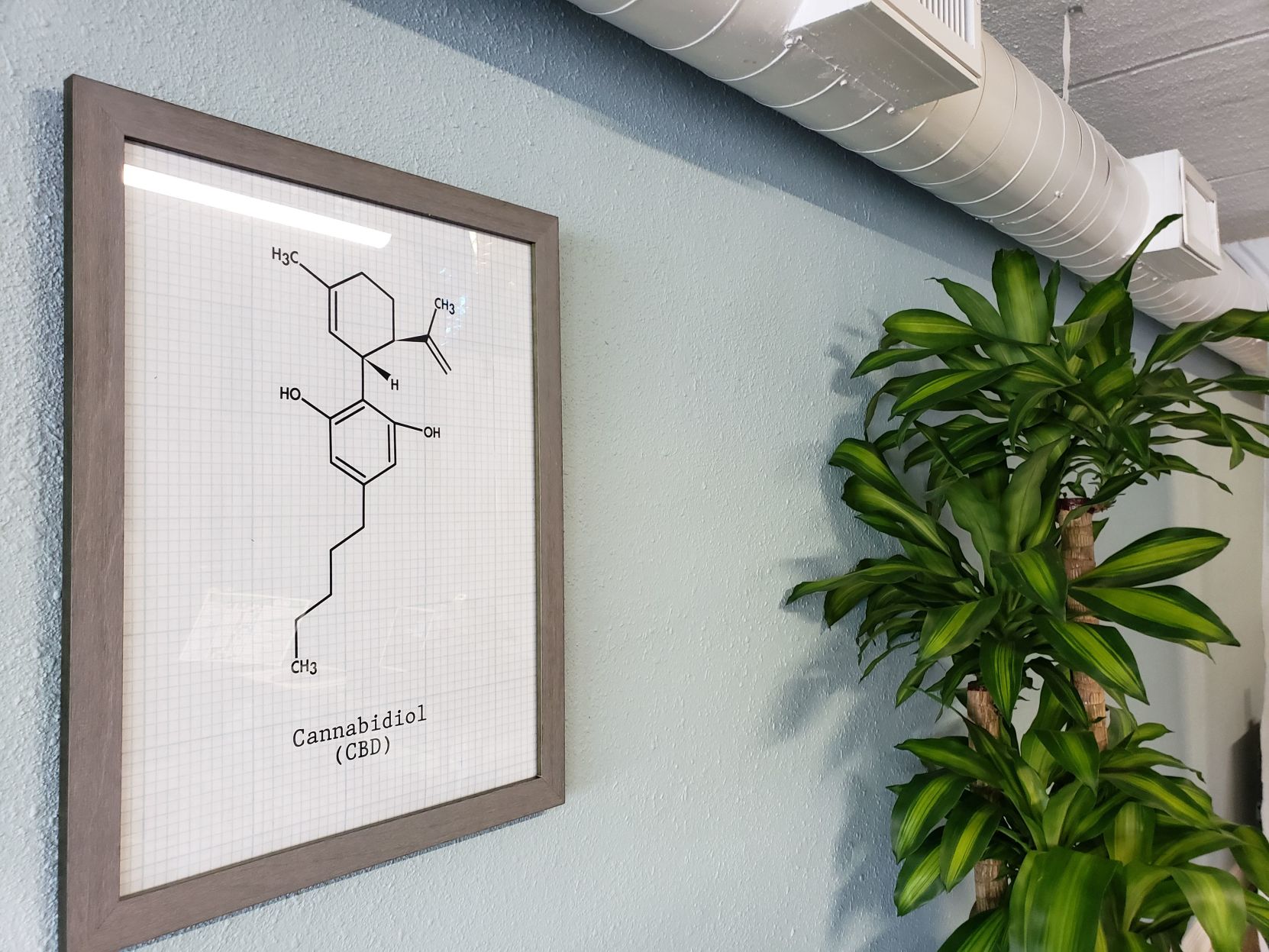 b-lrg-CBD2-041819.jpg